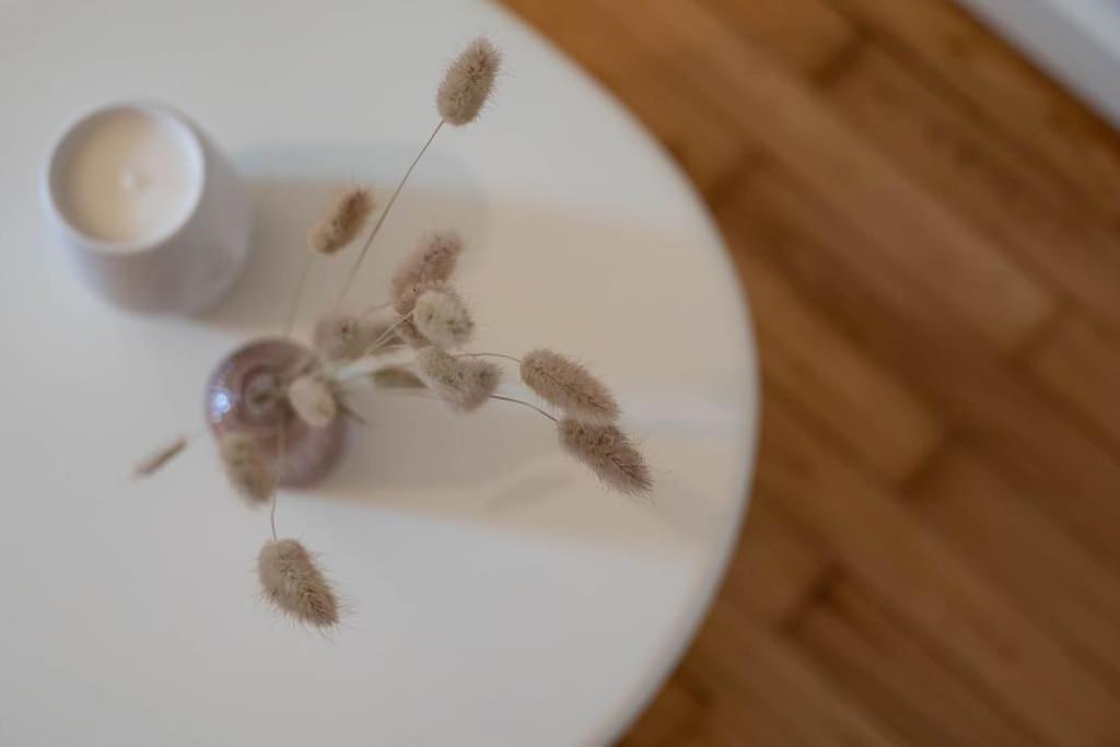 La Praline, Studio Coeur Ville Anse Eksteriør billede